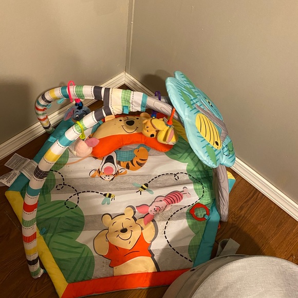 Winnie the Pooh